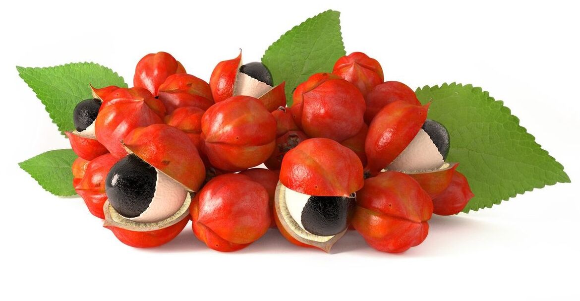 Guarana Seed Extract ZXCVBNMQWER-en