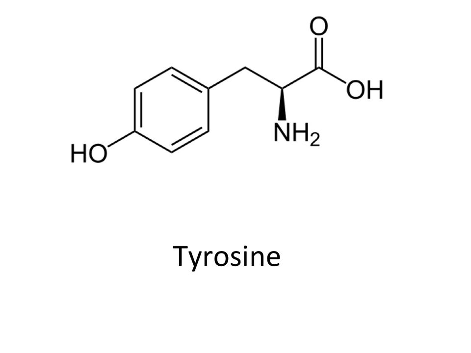 Tyrosin Zxcvbnmqwert-en